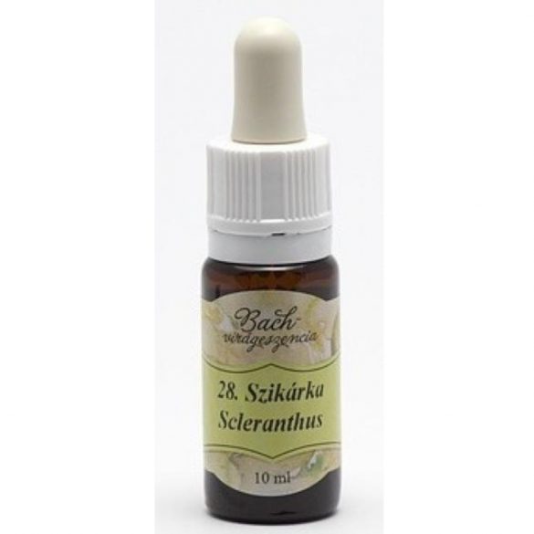 Szikárka (28. Scleranthus) Bach-virágeszencia - 10 ml -