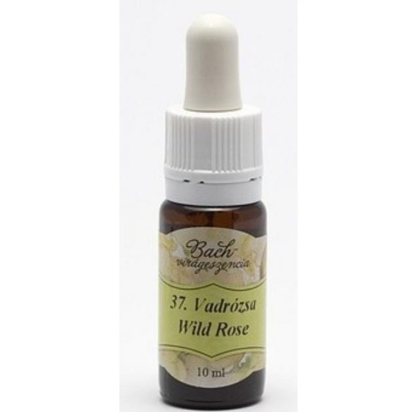 Vadrózsa (37. Wild Rose) Bach-virágeszencia - 10 ml -