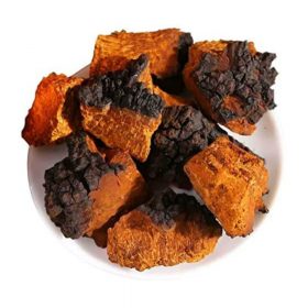 Chaga (Hamvaskéreg gomba)