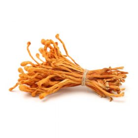 Hernyógomba (Cordyceps sinensis)