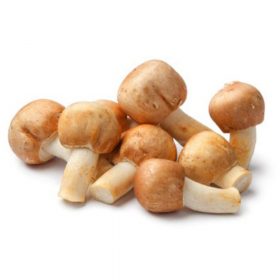 Mandulagomba (Agaricus blazer muril)